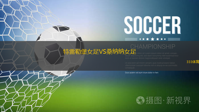 弗林特城VS明尼阿波利斯市SC