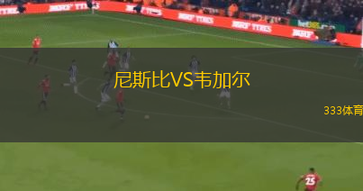 艾爾格里尼克VS薩倫多夫赫塔隊