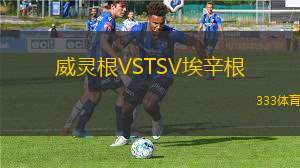 蘇黎世VS錫永