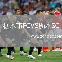 櫪木市FCVS櫪木SC