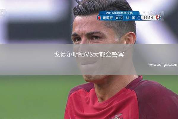 戈德?tīng)柮麈?zhèn)VS大都會(huì)警察