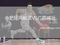 合肥狂風(fēng)峻茂VS廣西威壯