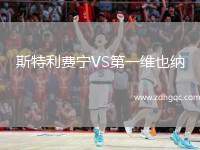 斯特利費(fèi)寧VS第一維也納