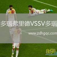 多瑙弗里德VSSV多瑙