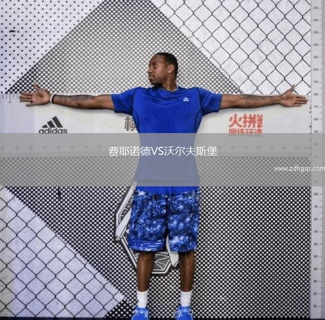 費(fèi)耶諾德VS沃爾夫斯堡