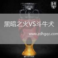 黑暗之火VS斗牛犬