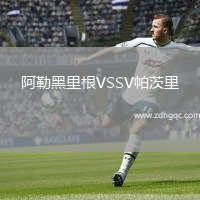 阿勒黑里根VSSV帕茨里