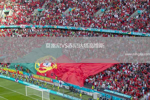 莫雷尼VS赤尼達(dá)塔高維斯