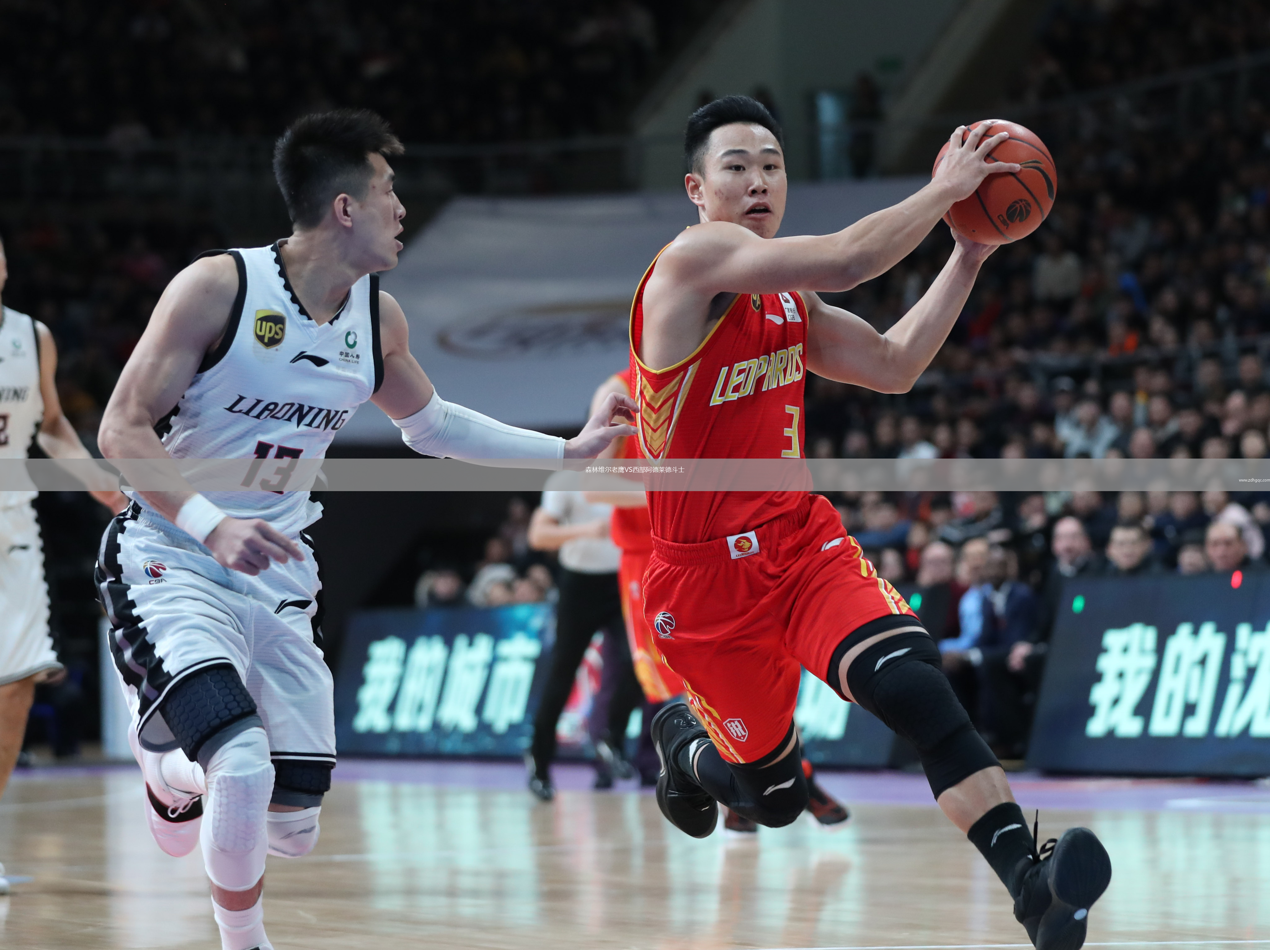 森林維爾老鷹VS西部阿德萊德斗士
