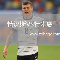 特漢斯VS特米恩