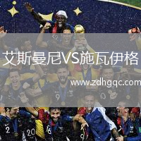 艾斯曼尼VS施瓦伊格