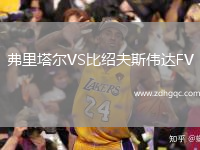 弗里塔爾VS比紹夫斯偉達(dá)FV