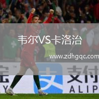 韋爾VS卡洛治