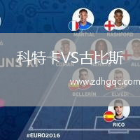 科特卡VS古比斯