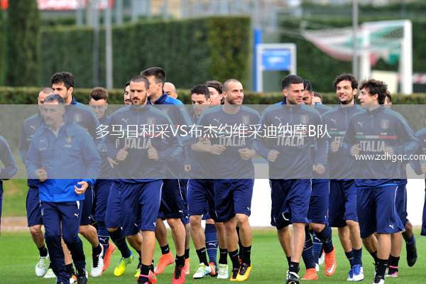 多馬日利采VS布杰約維采迪納摩B隊