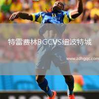 特雷費(fèi)林BGCVS紐波特城