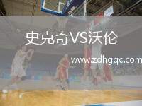 史克奇VS沃倫