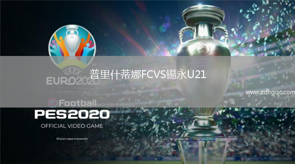 普里什蒂娜FCVS錫永U21