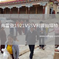 弗雷登1921VSSV利普施塔特