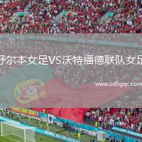 舒爾本女足VS沃特福德聯(lián)隊(duì)女足