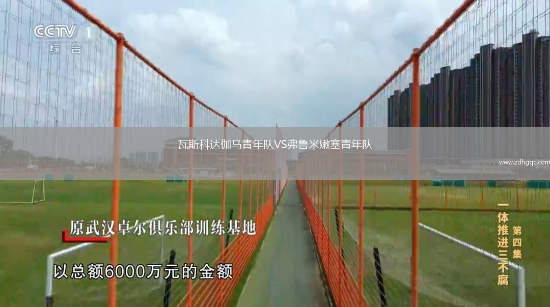 瓦斯科達伽馬青年隊VS弗魯米嫩塞青年隊