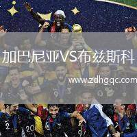 加巴尼亞VS布茲斯科