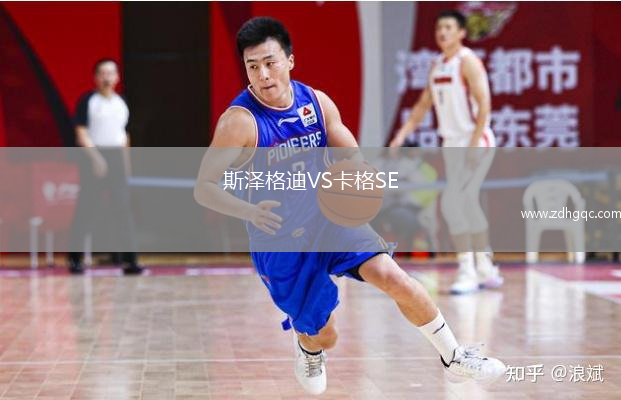 斯?jié)筛竦蟅S卡格SE