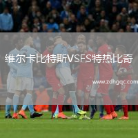維爾卡比特斯VSFS特?zé)岜绕? /> </a>
            <div   id=