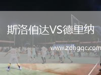 斯洛伯達VS德里納