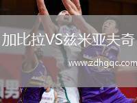 加比拉VS茲米亞夫奇