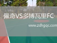 佩奇VS多博瓦里FC