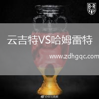 云吉特VS哈姆雷特