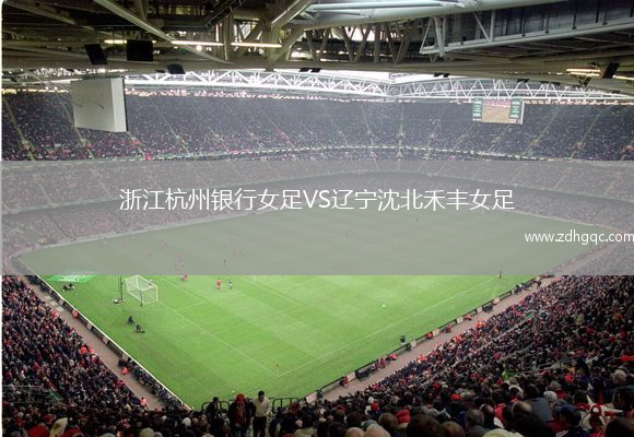 浙江杭州銀行女足VS遼寧沈北禾豐女足