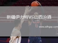 新疆伊力特VS山西汾酒