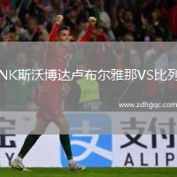 NK斯沃博達(dá)盧布爾雅那VS比列