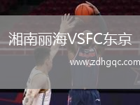 湘南麗海VSFC東京