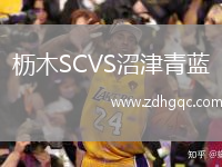 櫪木SCVS沼津青藍(lán)