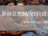 桑德菲杰B隊(duì)VS科德