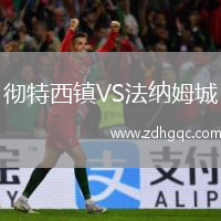 徹特西鎮(zhèn)VS法納姆城