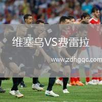 維塞烏VS費雷拉