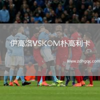 伊高洛VSKOM樸高利卡