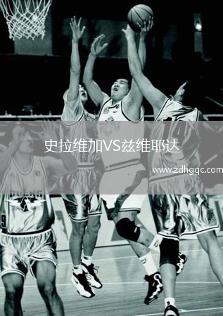 史拉維加VS茲維耶達(dá)