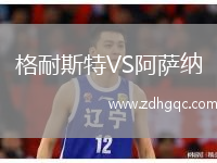 格耐斯特VS阿薩納