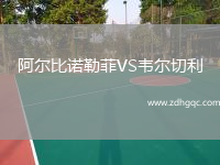 阿爾比諾勒菲VS韋爾切利