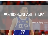 塞爾維亞白鷹VS斯卡伯勒