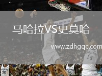 馬哈拉VS史莫哈