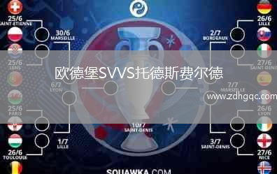 歐德堡SVVS托德斯費(fèi)爾德
