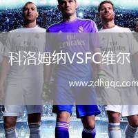 科洛姆納VSFC維爾