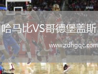 哈馬比VS哥德堡蓋斯