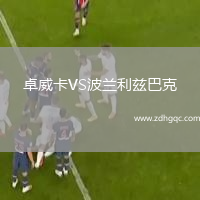 卓威卡VS波蘭利茲巴克